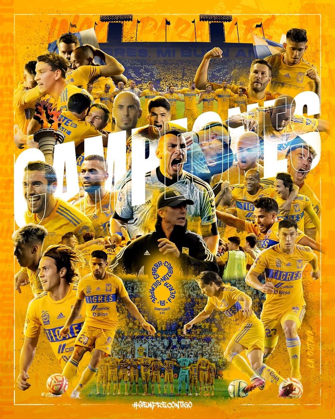 Tigres Campeón Del Fútbol Mexicano - Acueducto Noticias