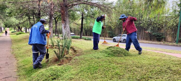 Imagen de WhatsApp 2024-07-08 a las 17.59.15_46c91eed