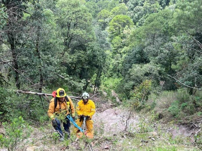MORELIA Hombre muere al caer camioneta a barranco en San José de las Torres, Morelia (1)