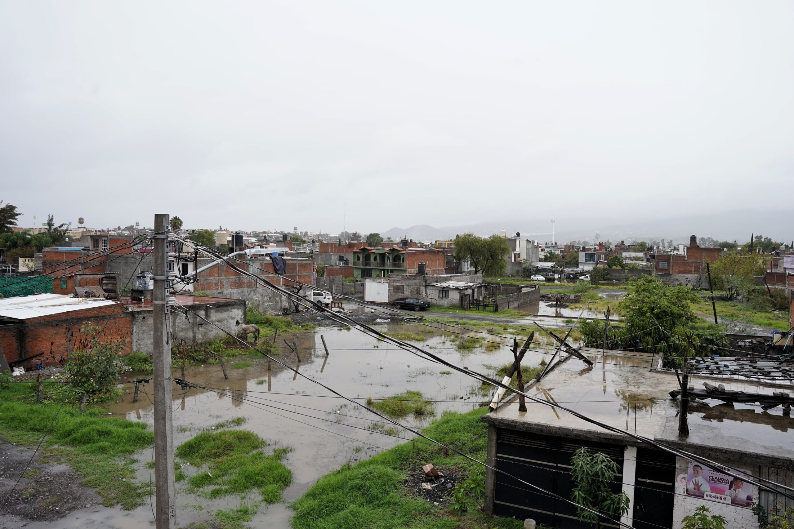 WhatsApp Image 2024-07-11 at 12.06.37 PM (1)