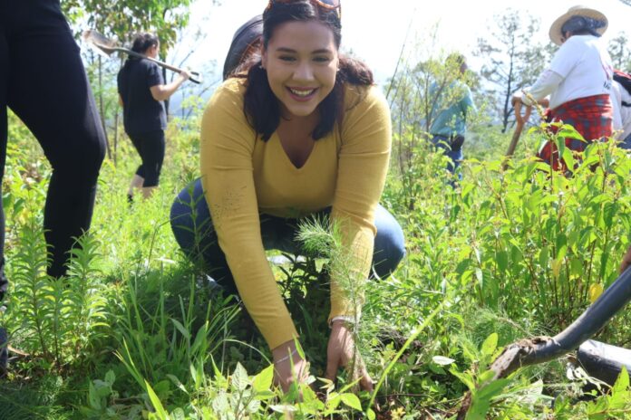Pátzcuaro, reforestan el Cerro Blanco