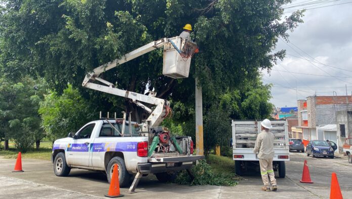 WhatsApp Image 2024-09-14 at 13.04.44