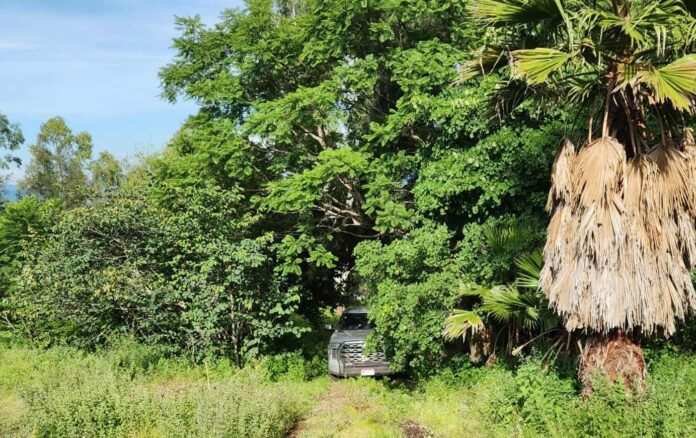 Michoacán, militares abaten a delincuentes