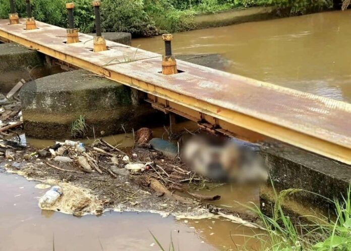 Michoacán, joven ubicado muerto bajo puente