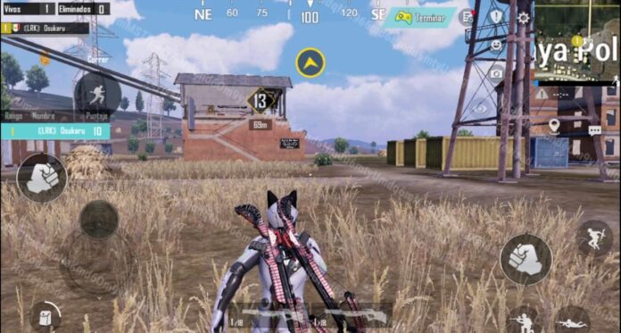 Michoacán, Jalo gaming