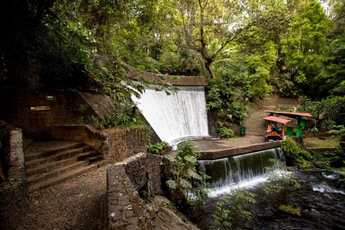 La riqueza de los parques nacionales michoacanos