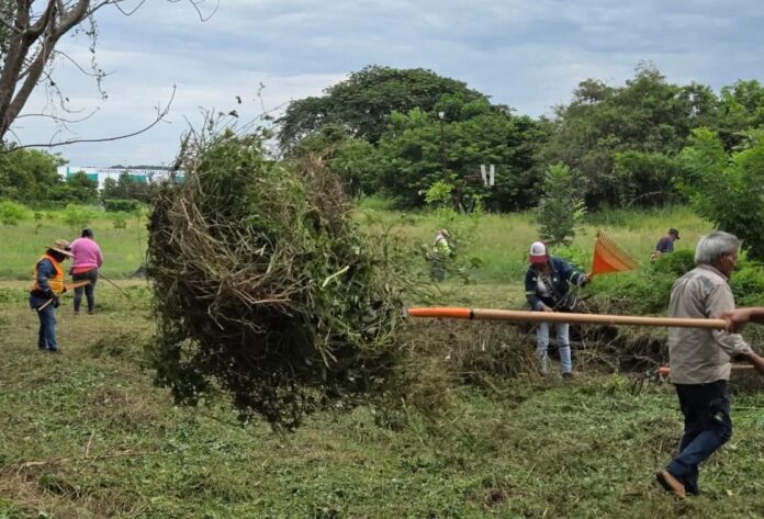 Michoacán, avanza LA con Transforma tu escuela