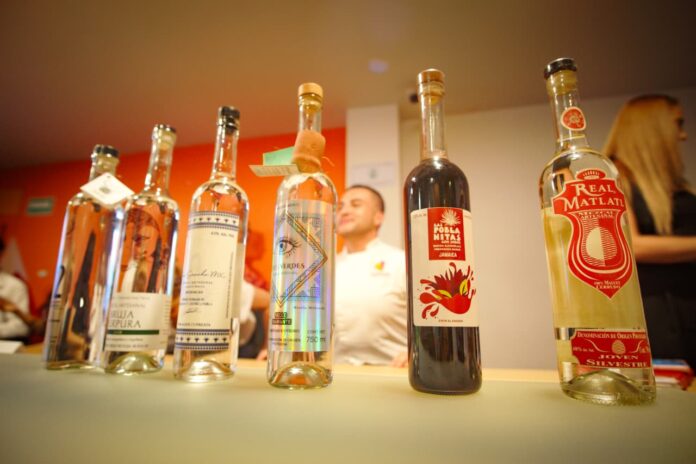 Mezcalmanía celebra una década de tradición, sabor y récord en Morelia