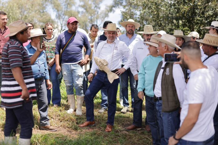 Para proteger al campo, Bedolla envía a Sheinbaum propuesta de precios justos del maíz