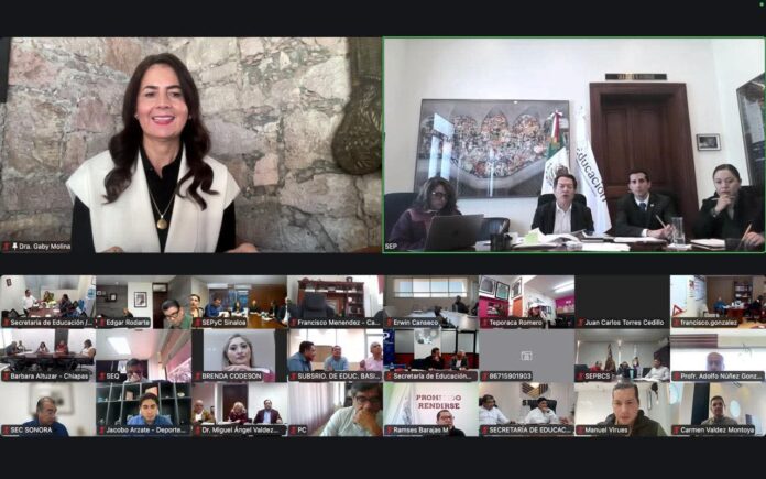 Gabriela Molina, coordinación Federal para el Plan Michoacán