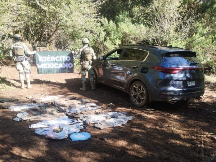Desmantelan campamentos ilícitos en Salvador Escalante