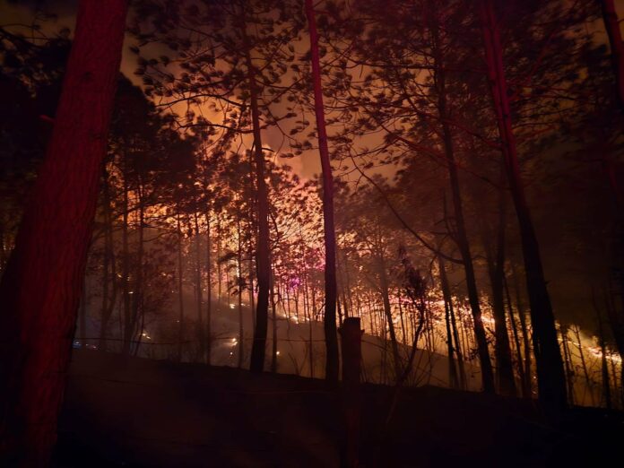 Fallecen dos brigadistas al combatir incendio forestal