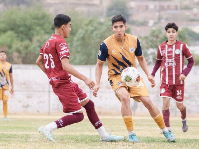 Zorros UMSNH suma 16 victorias; sale de Abasolo con los tres puntos
