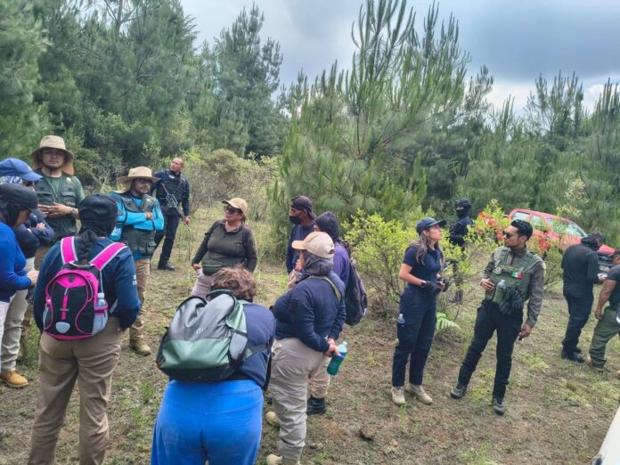 Colectivo denuncian que fueron recibidas a balazos durante búsqueda en Pátzcuaro
