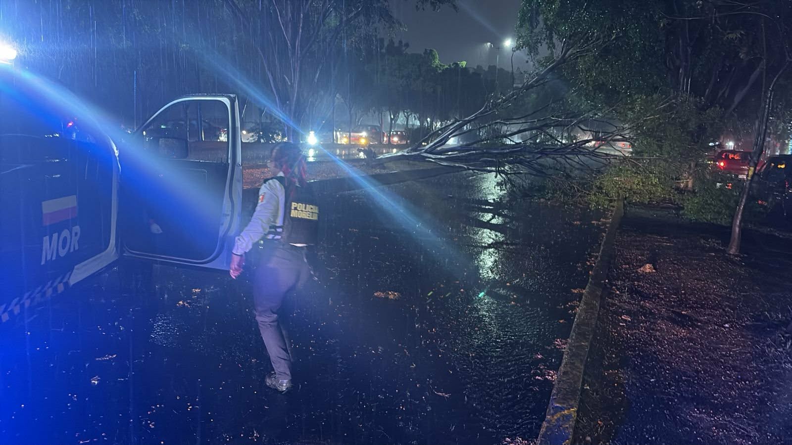 Caída de árboles, inundaciones y cortes de energía tras lluvia, Morelia