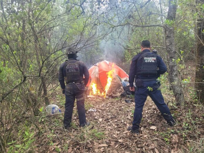 Policías destruyen narcocampamento en Pátzcuaro
