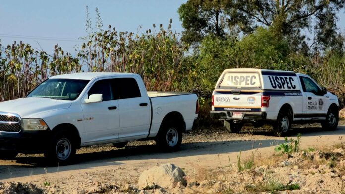 Localizan a hombre sin vida en huerto de aguacate en Tacámbaro