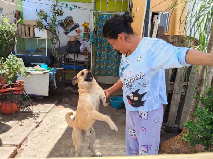 “Como pudo y a la brava”: mujer evita muerte de perro