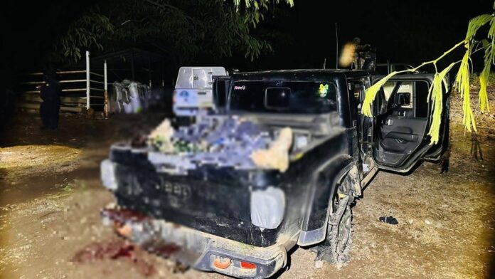 Hallan 4 ejecutados tras presunta disputa criminal en Parácuaro