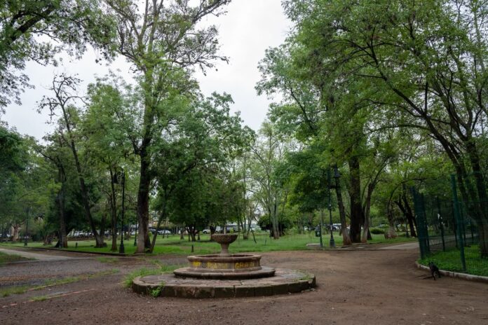 Clima | Buen día, Morelia