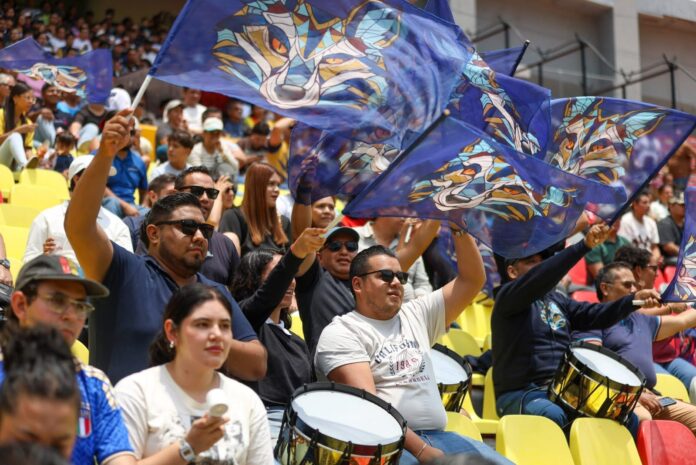 Afición de zorros UMSNH, de las mejores en la liga TDP