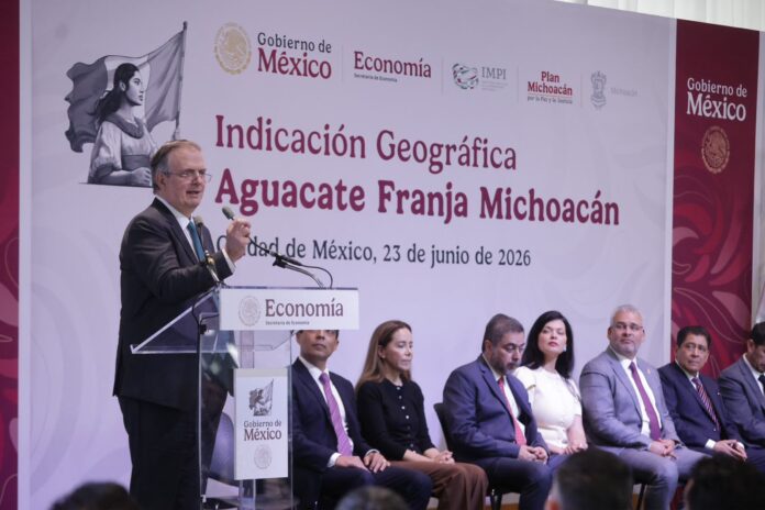 Aguacate michoacano obtiene Indicación Geográfica por IMPI