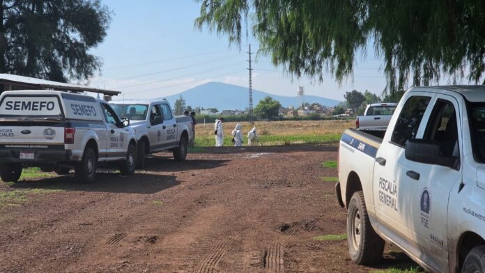 Hallan cuerpo de mujer con huellas de violencia en Zamora