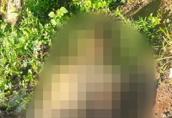 Hallan a dos ejecutados en el municipio de Zinapécuaro
