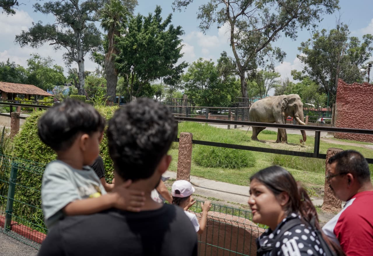 El Zoológico de Morelia, una alternativa para estas vacaciones