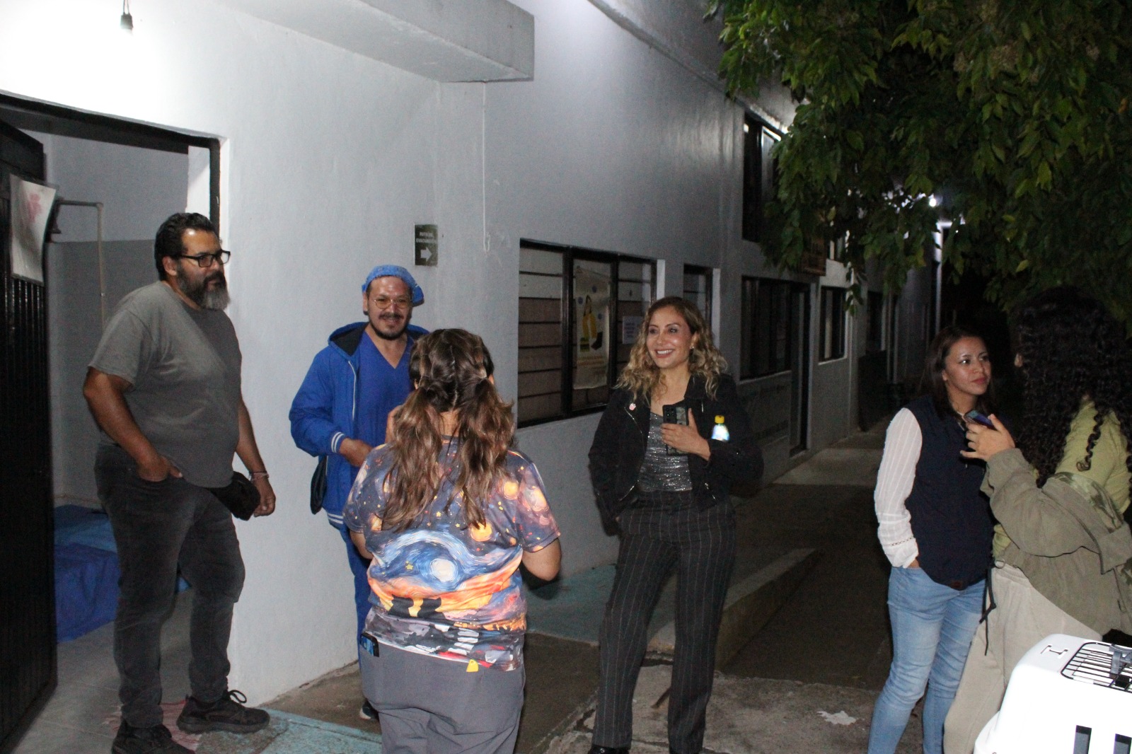 Gobierno de Morelia cuida a los gatos comunitarios con jornadas integrales de atención