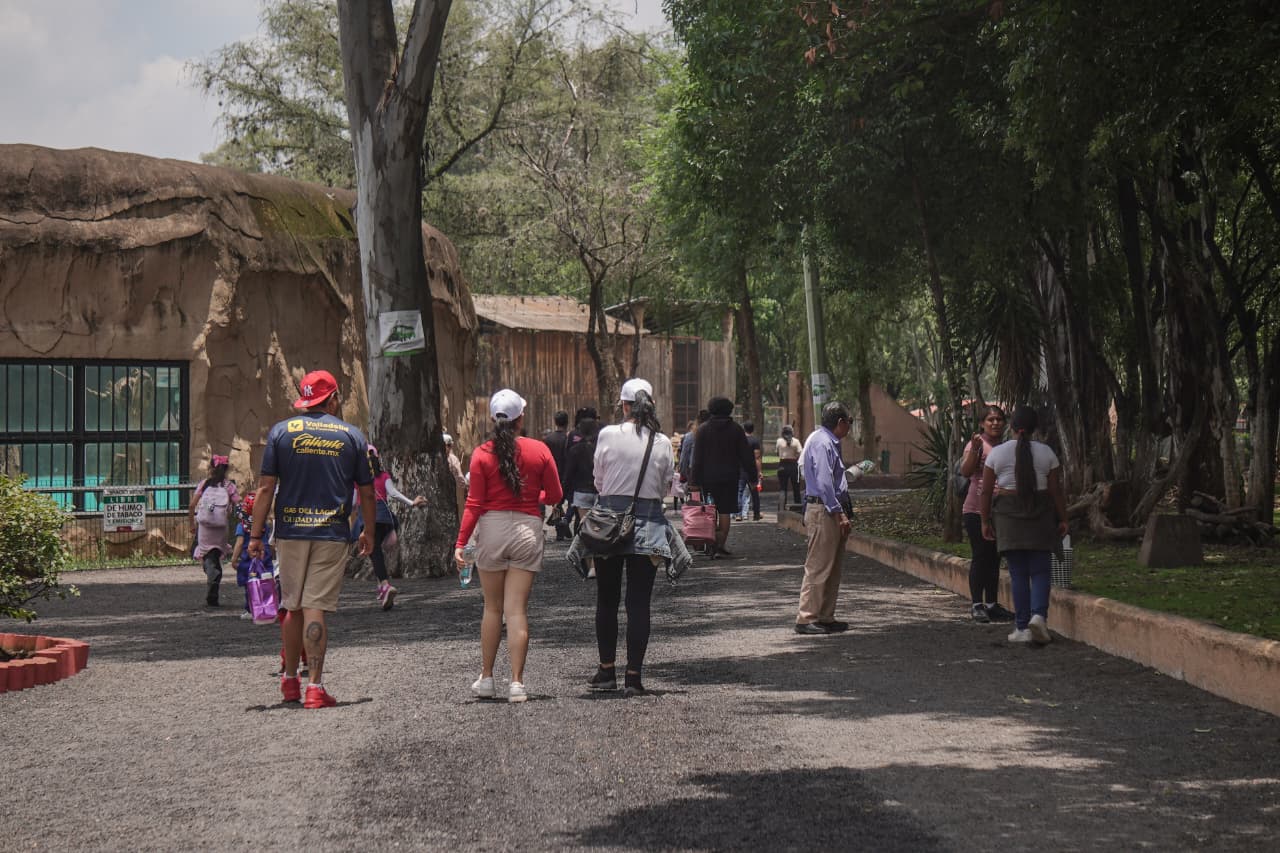 El Zoológico de Morelia, una alternativa para estas vacaciones
