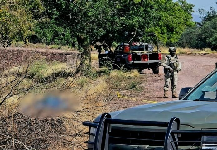 Hallan a una mujer asesinada a balazos en Buenavista