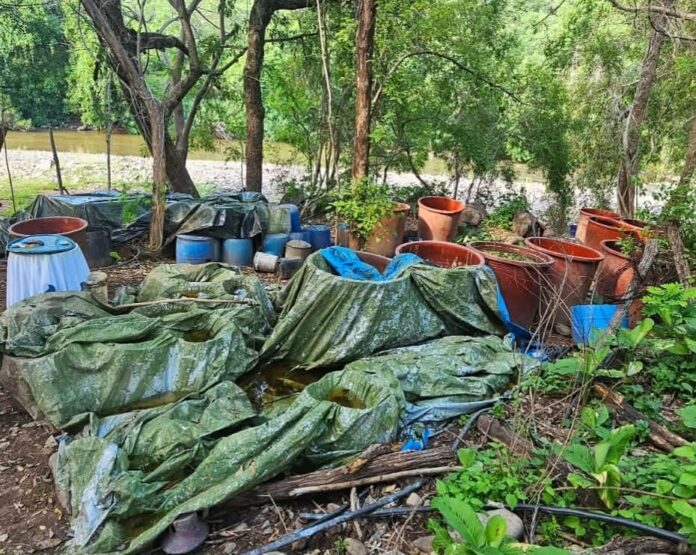 Aseguran metanfetamina y químicos en laboratorio, Carácuaro