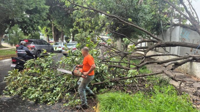 Uruapan, despliegan operativo ante fuertes vientos