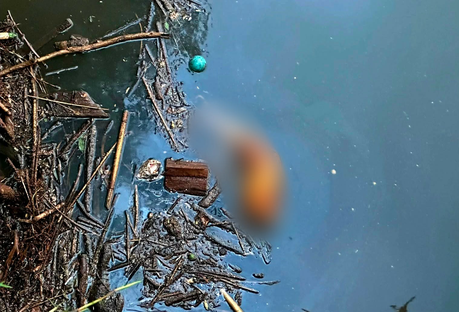 Domingo violento: Un homicidio y hallazgos de tres cadáveres en Michoacán