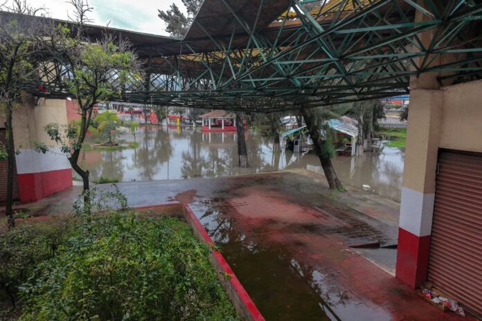 De edificio del SNTE a "piscina olímpica", Morelia