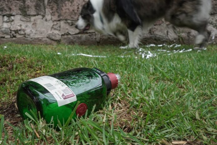Morelia, las tarascas en basura aún con la derrota del tri