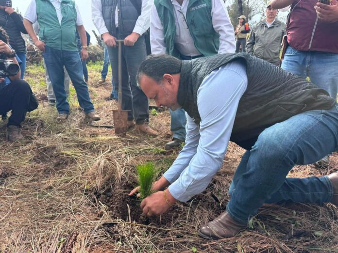 Cuidar nuestros bosques es cuidar el futuro: Julio Arreola Cuidar nuestros bosques es cuidar el futuro: Julio Arreola