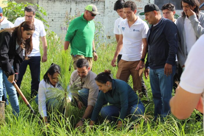 Gobierno de Morelia conmemora el Día del Árbol; anuncia reforestaciones