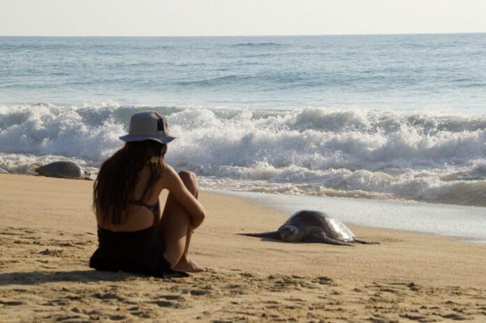 Playas de Michoacán: el destino ideal para tu próxima escapada