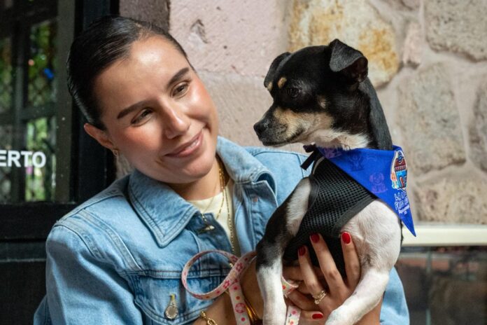 Buscan familia 28 perros en Morelia; los de talla grande, los que más esperan