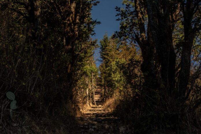 País de la Monarca ofrece naturaleza y aventura este verano