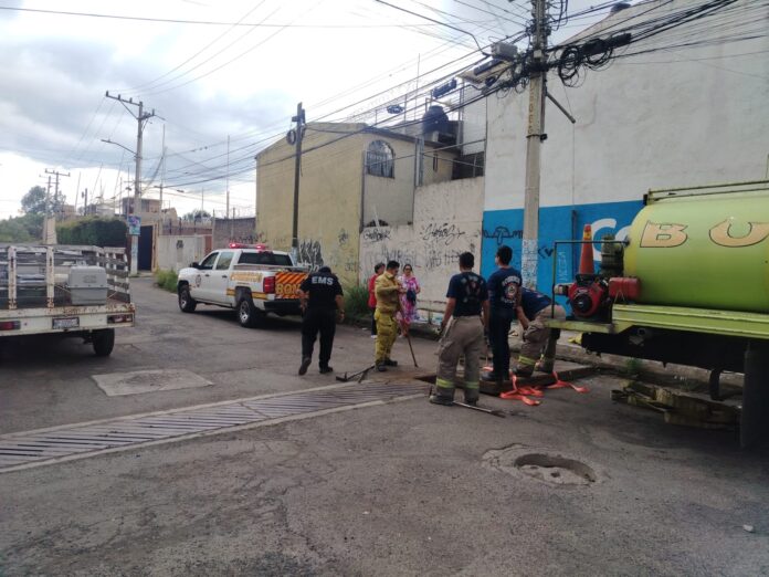 PC y Bomberos de Morelia rescatan polluelos de alcantarilla en Manantiales