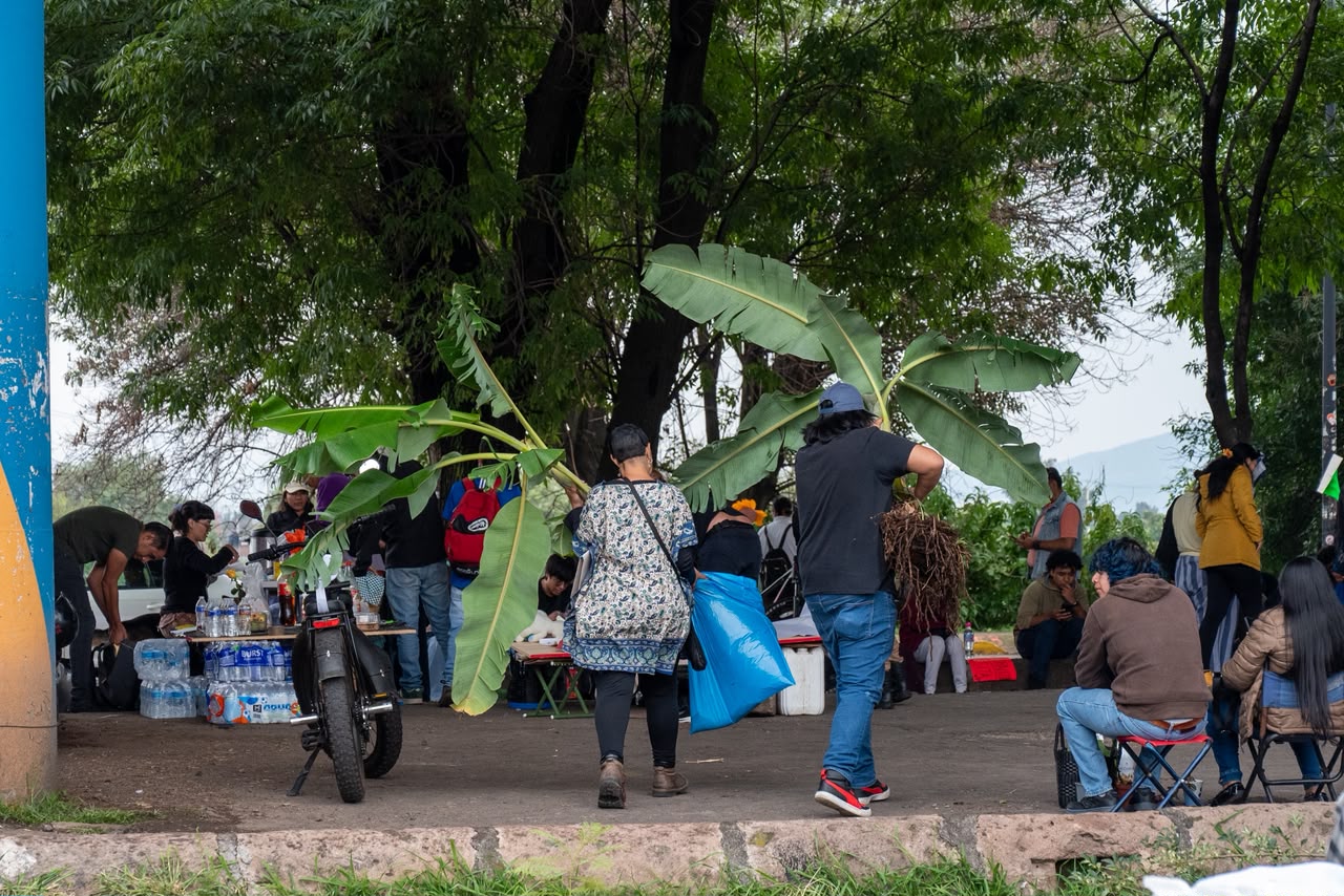 Plantas, esquejes y macetas cambian de manos en Tres Puentes