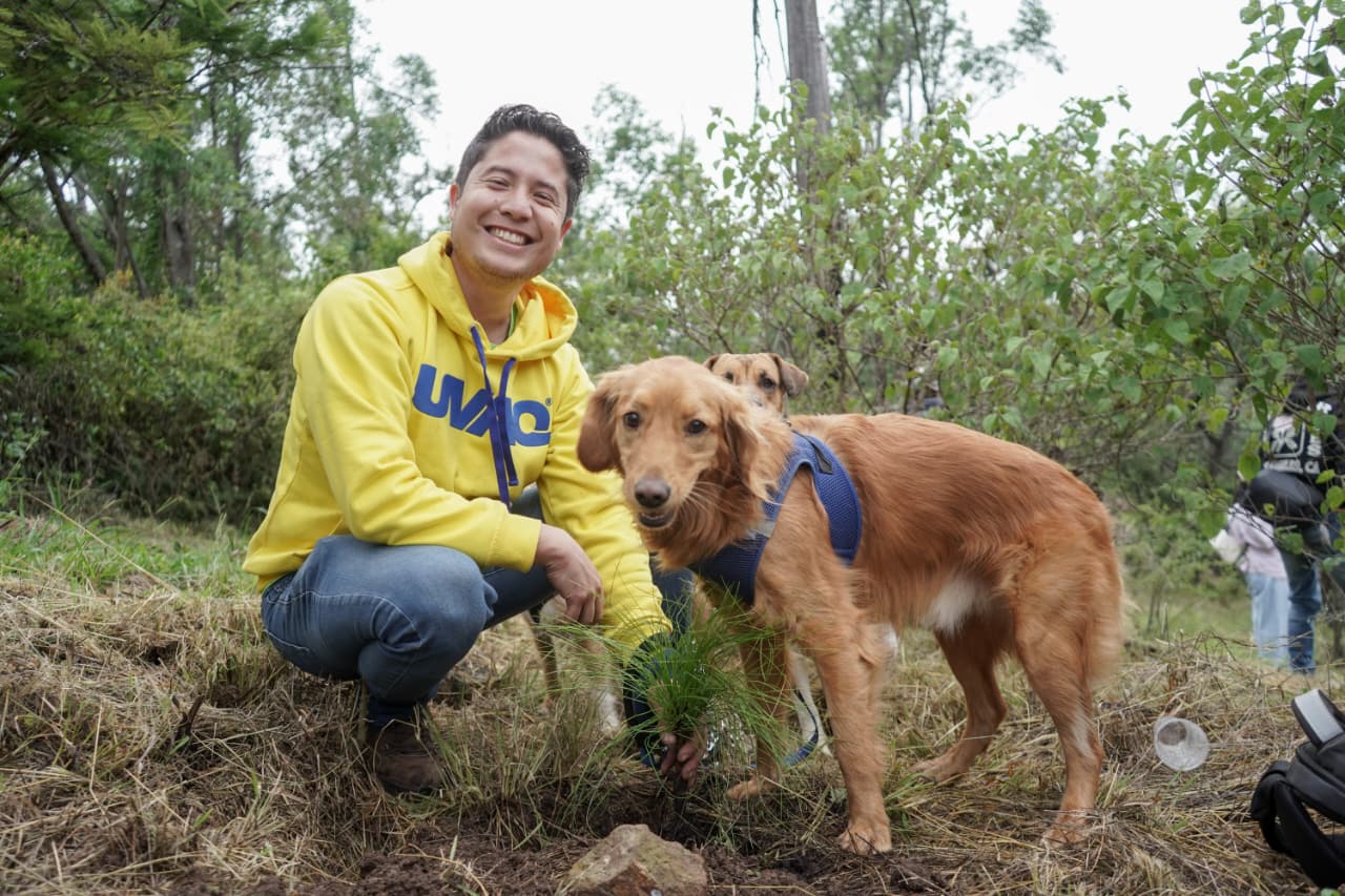 Organizaciones y ciudadanos reforestan la Loma de Santa María