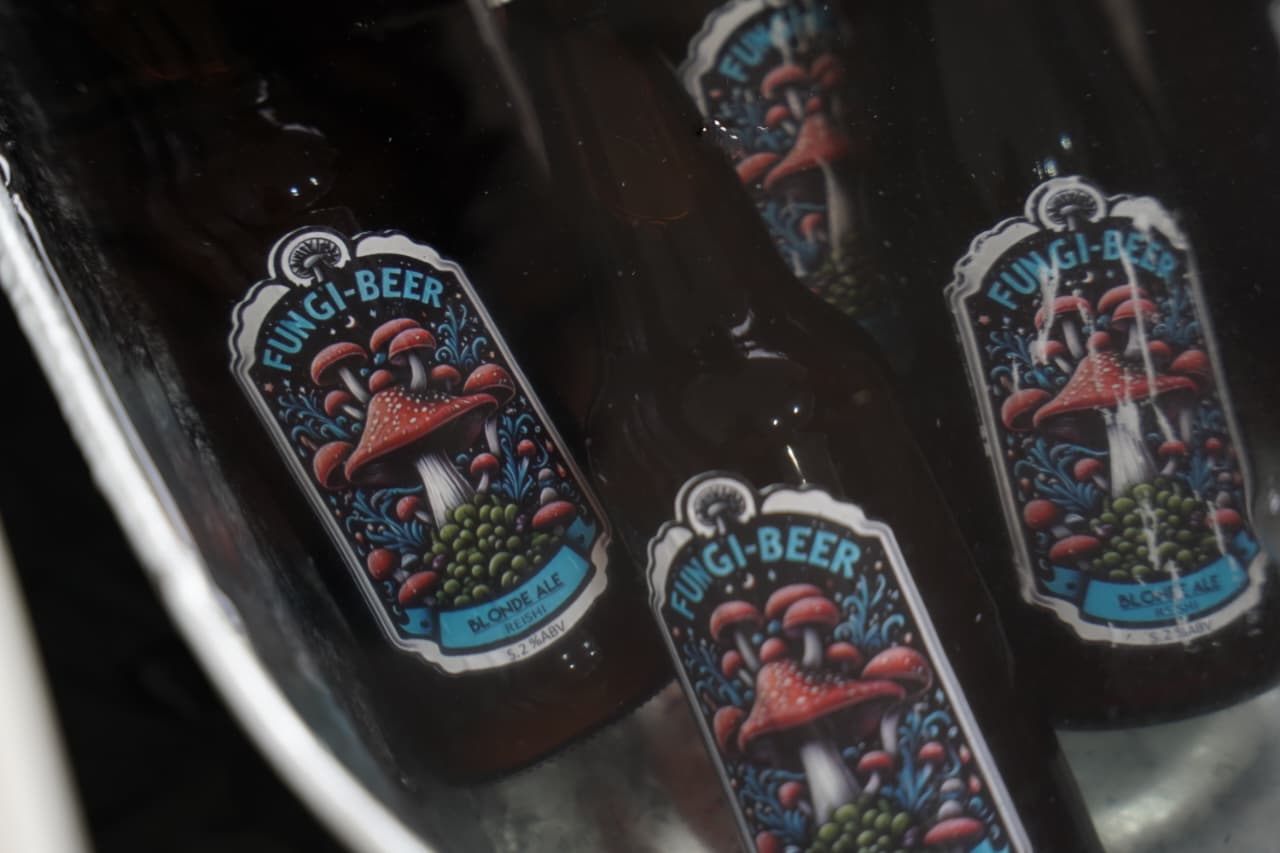 Llega la Fungi Beer a Morelia: la cerveza elaborada con hongo