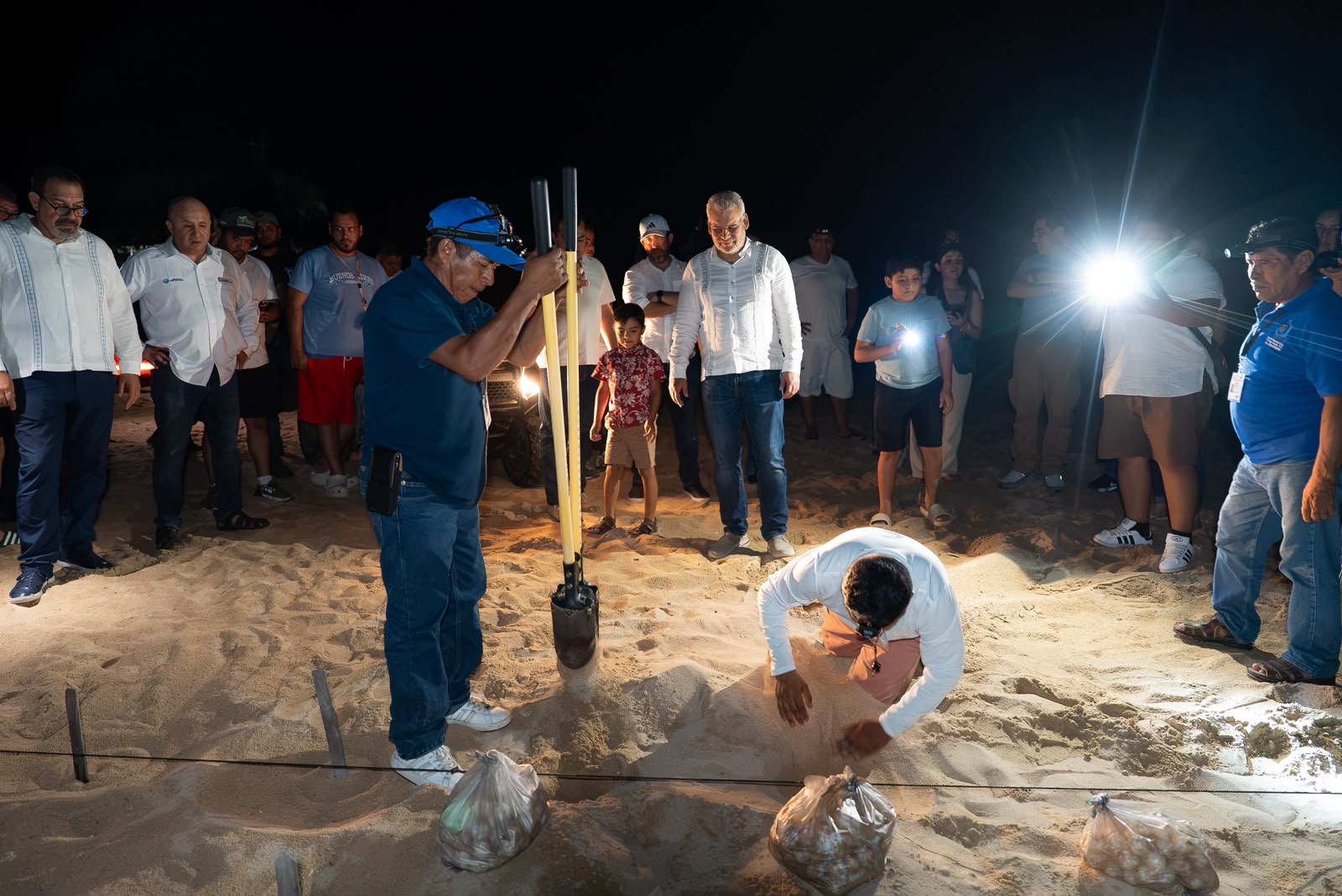 En la costa michoacana se espera el nacimiento millonario de tortugas