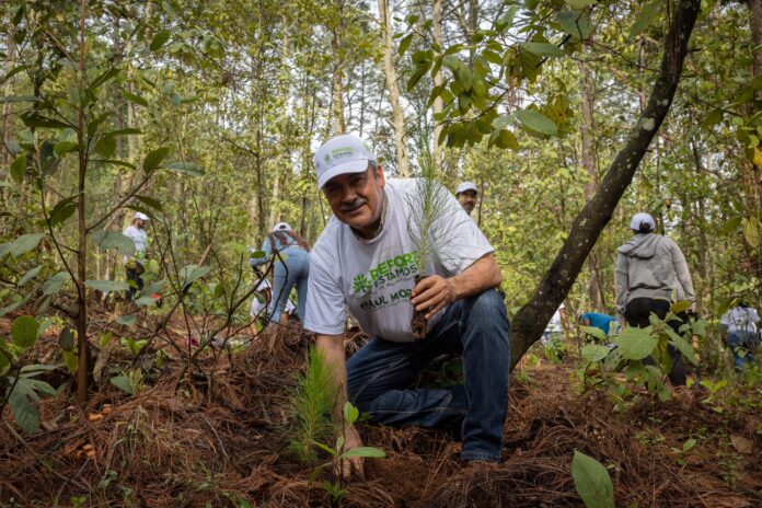 Medio ambiente, deporte y cultura, trascendentales para la transformación de Michoacán Medio ambiente, deporte y cultura, trascendentales para la transformación de Michoacán