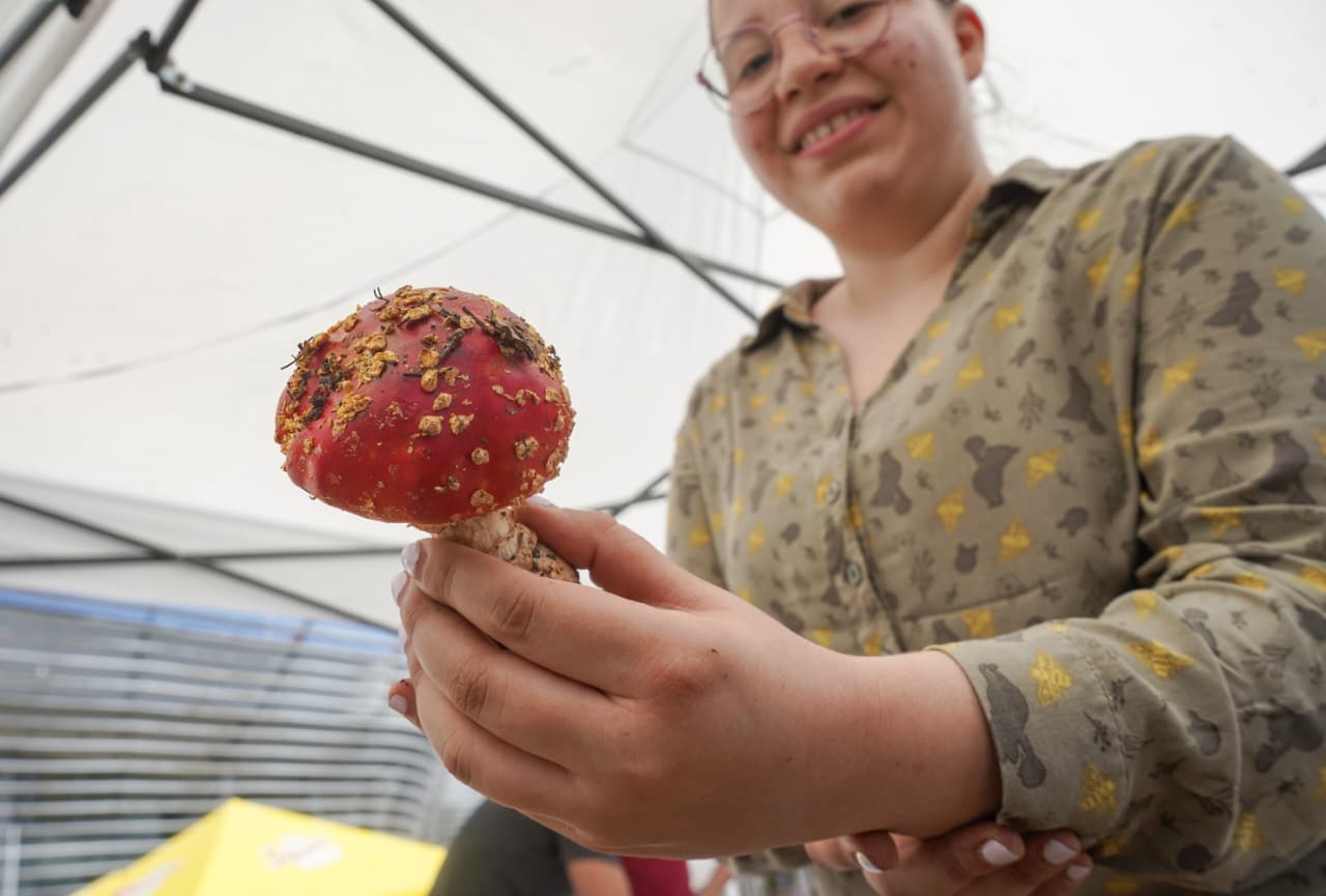 FungiFest convierte a Morelia en la capital de los hongos de Michoacán