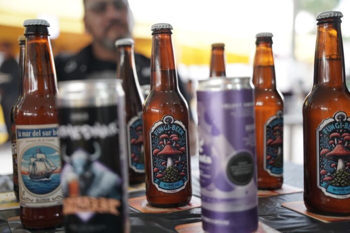 Llega la Fungi Beer a Morelia: la cerveza elaborada con hongo